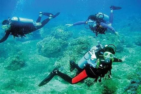 上海高房价问题合理化建议?-知识的海洋,200次涟漪,等你来掀起
