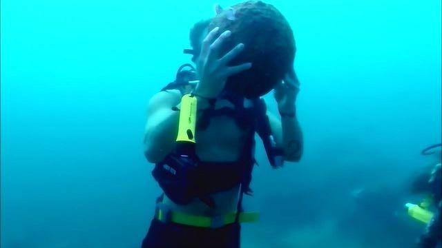 海贼王伟大冒险2