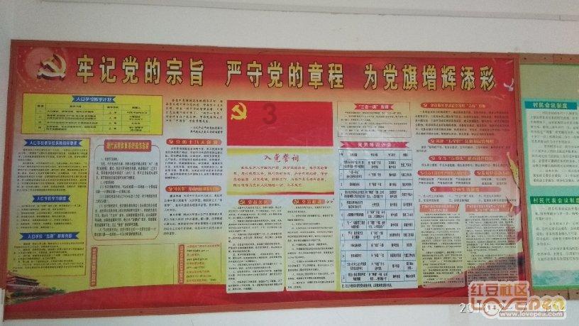 泰安高新区税务局:“税力量”助力锂电行业“逐梦追光”