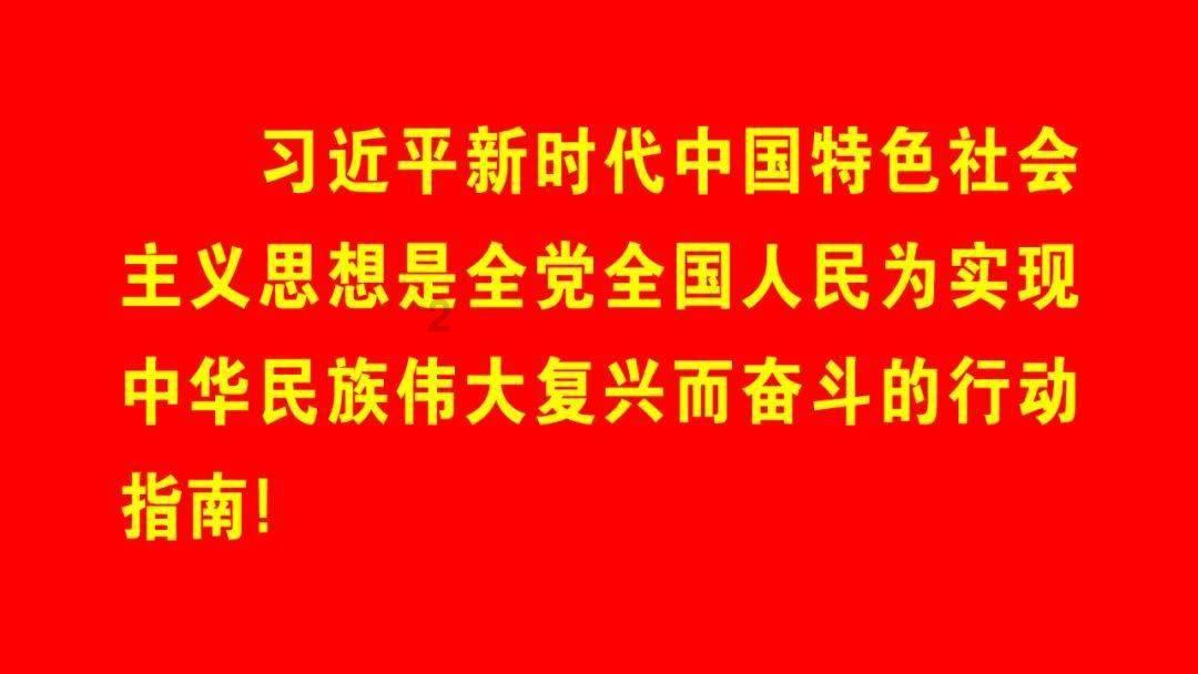 靠直觉开题！华人女教授揭秘“认怂”脑回路